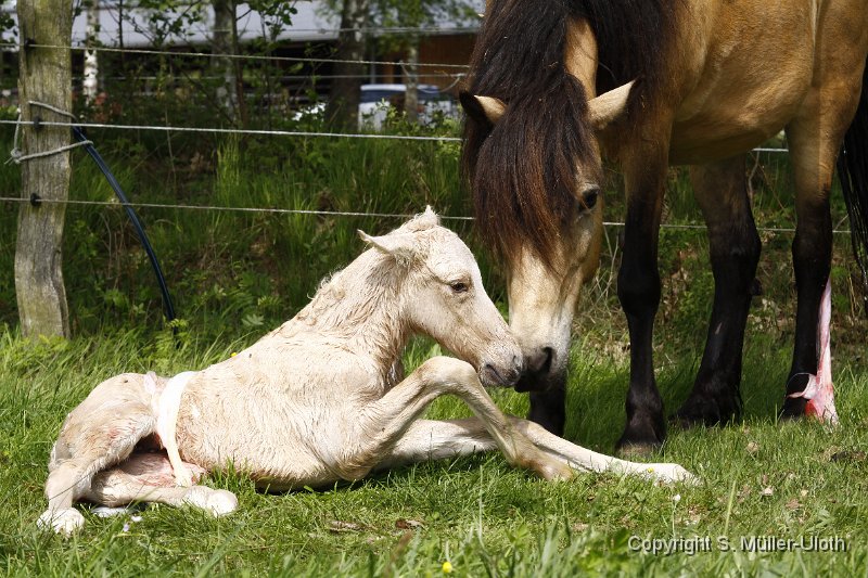 Hjoerdis 12 Min alt (14).JPG